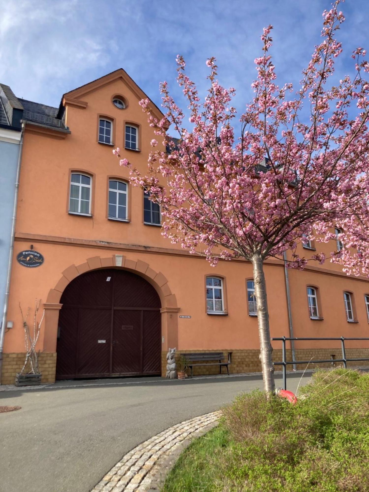 Pension Und Ferienwohnung Am Teich Шлайц Экстерьер фото